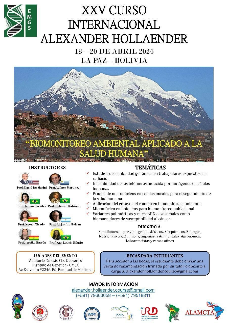 Curso Alexander Hollaender